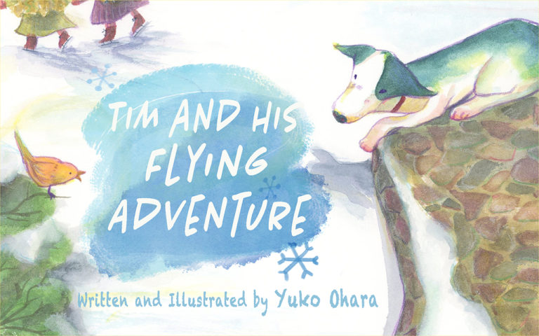 Tim and His Flying Adventure